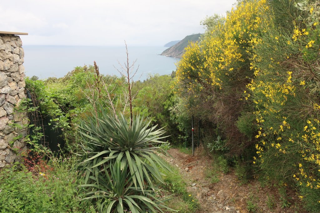 Hike from Framura to Levanto