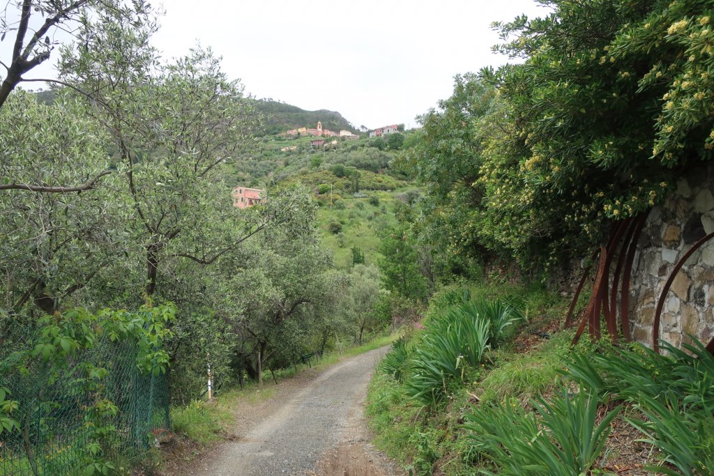 Hike from Framura to Levanto