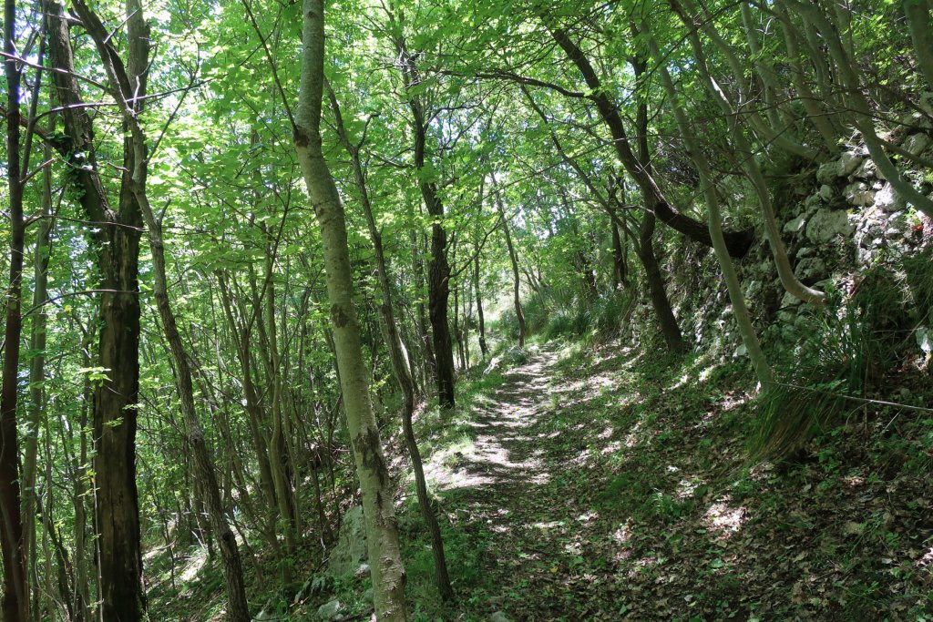 Hike, Praiano to Grotto Di Santa Barbara