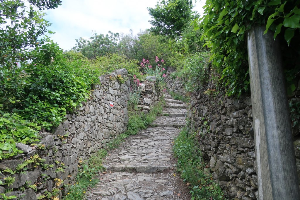 Hike the High Route from Corniglia to Manarola