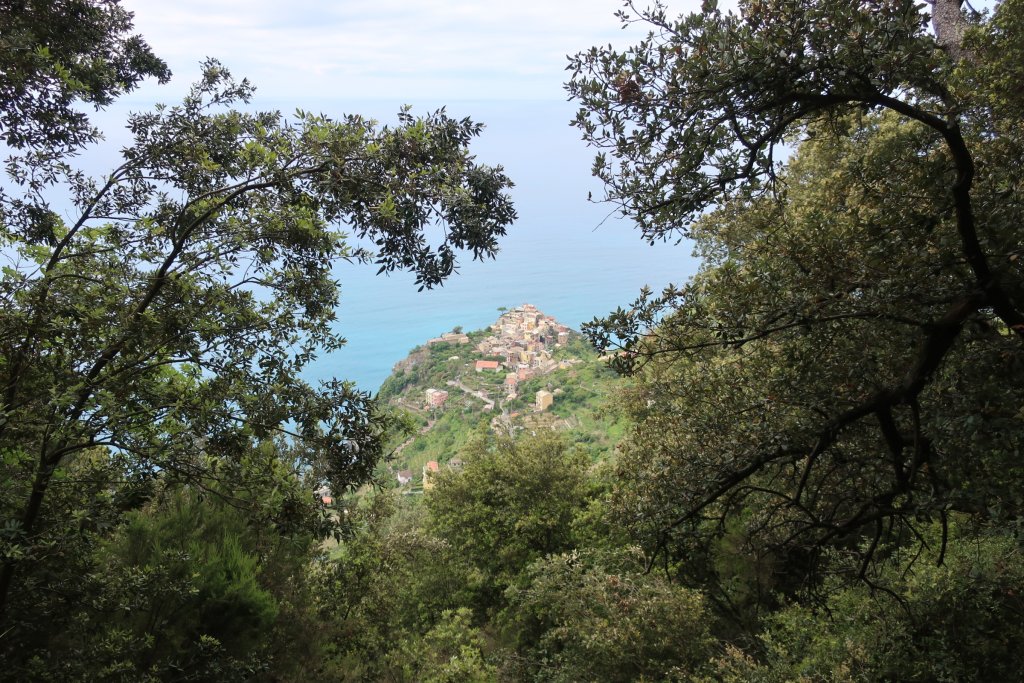 Hike the High Route from Corniglia to Manarola