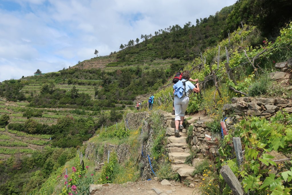 Hike the High Route from Corniglia to Manarola