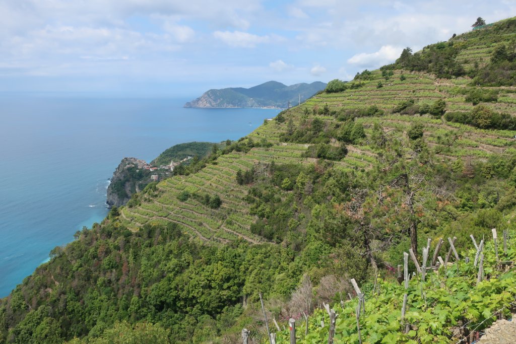 Hike the High Route from Corniglia to Manarola