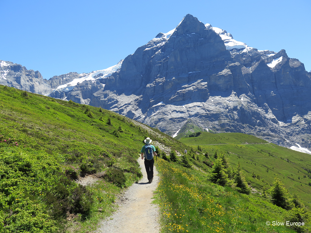 Hiking in Grindelwald