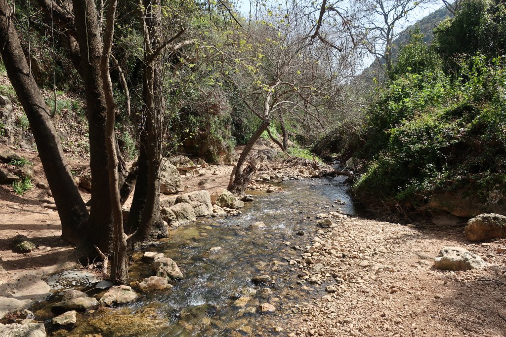 HIking in Nahal Amud