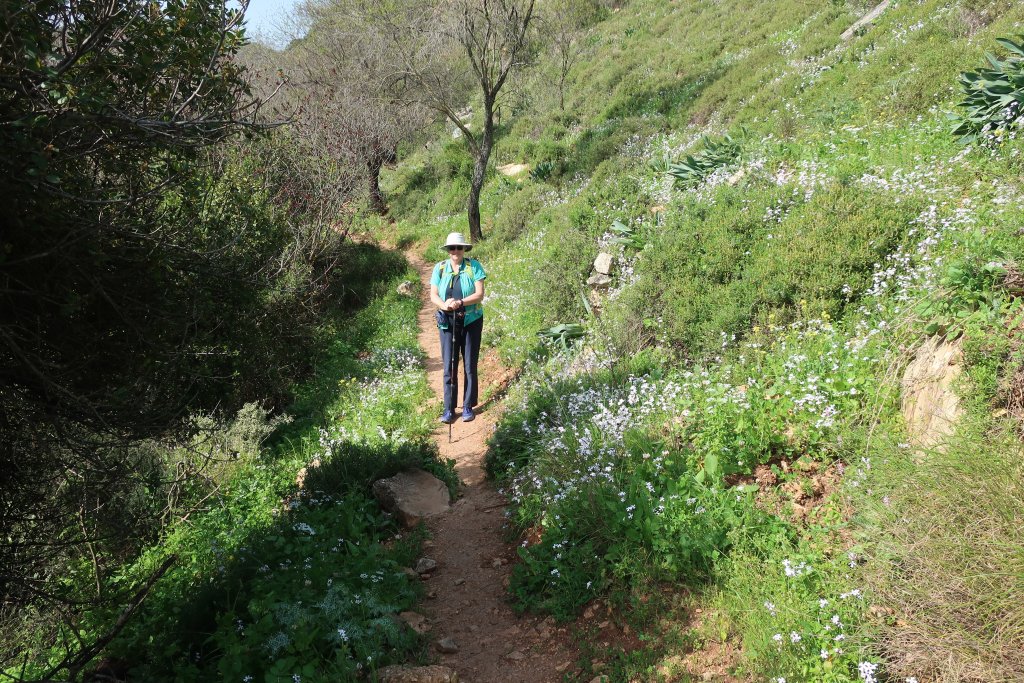 HIking in Nahal Amud