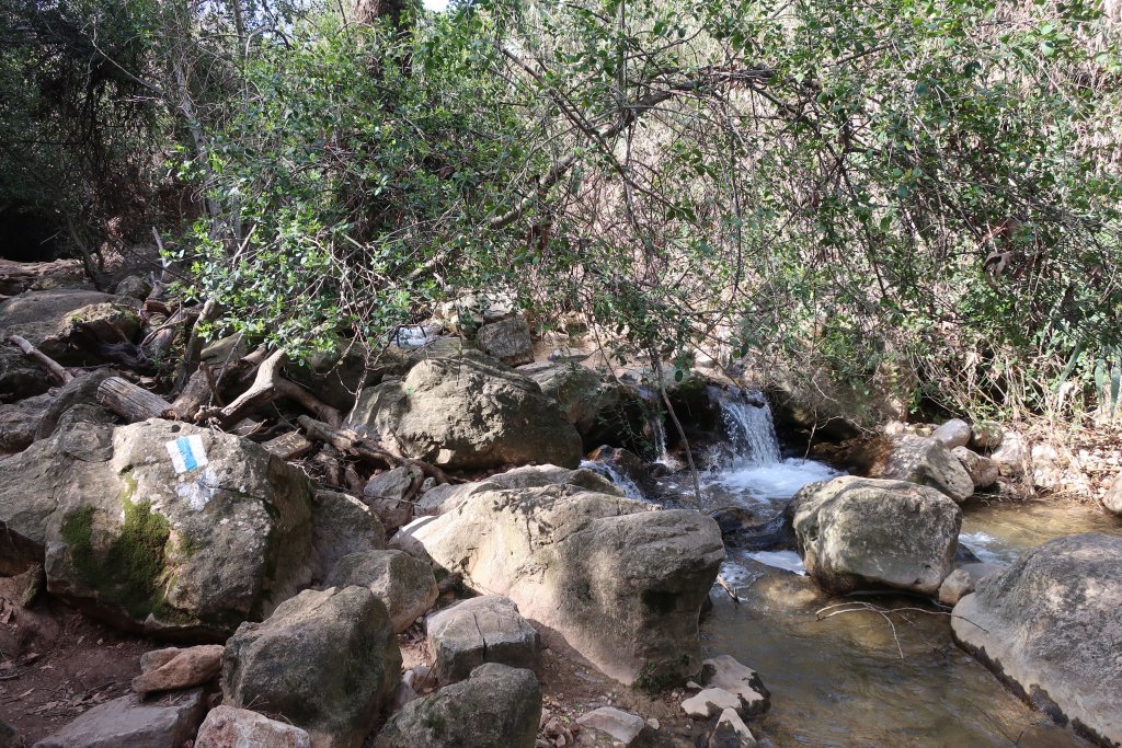 HIking in Nahal Amud