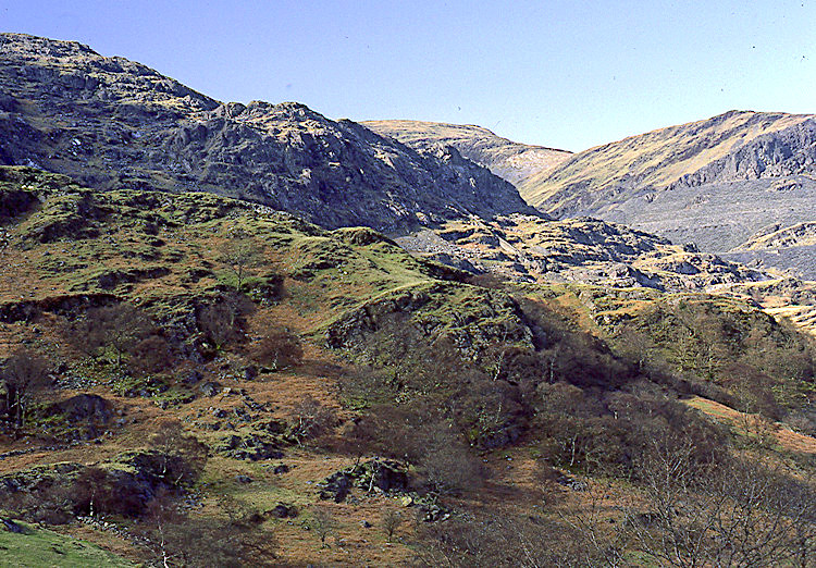 Hillside above Llyn Ystradau