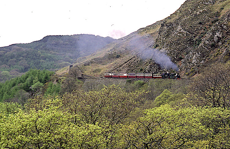 Hillside above Tan y Bwlch