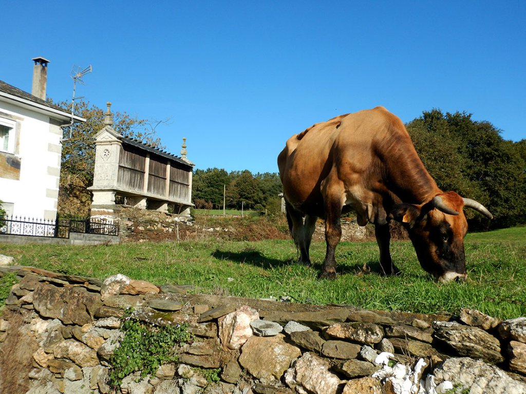 Hórreos Seen on My Way to Portomarin