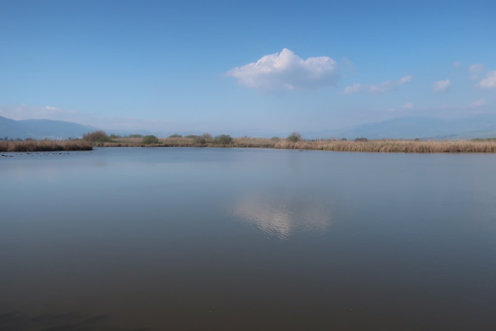 Hula Valley