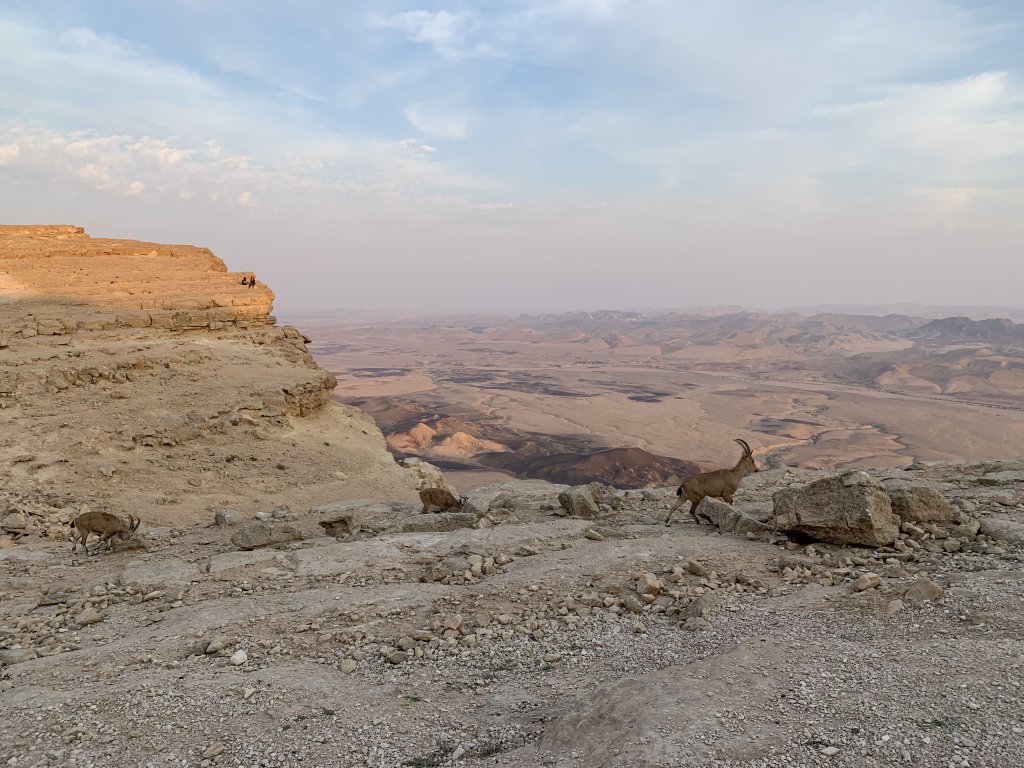 Ibex and the Ramon Crater