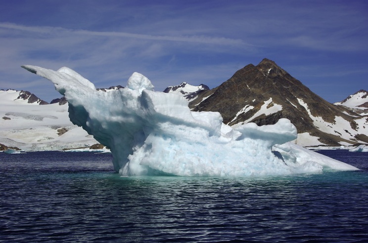 Iceberg On The Way To Apusiaajik Glacier