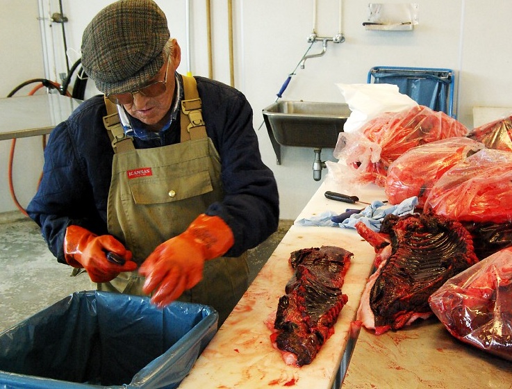 Ilulissat Fish Market