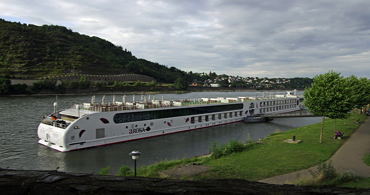 IMGP3750