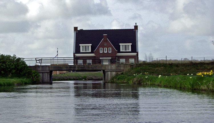 IMGP8003b