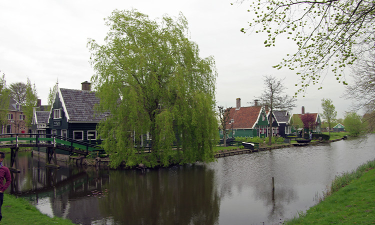 IMGP8154