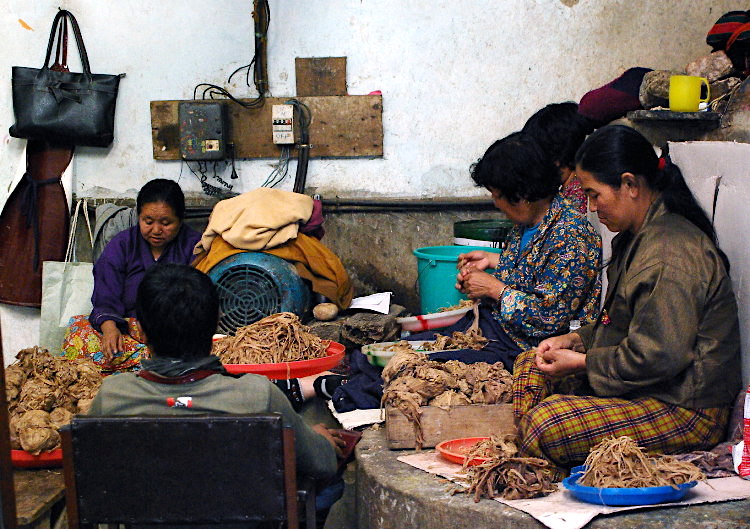 Jungshi handmade paper factory, Thimphu, Bhutan