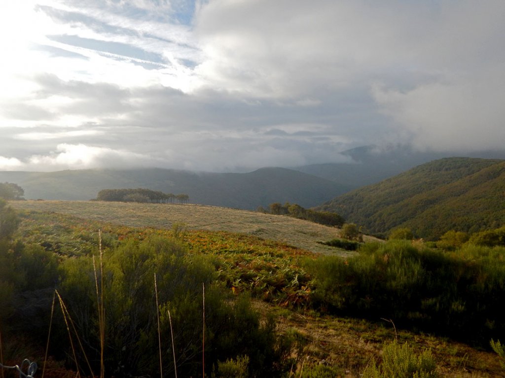 Just past Manjarin