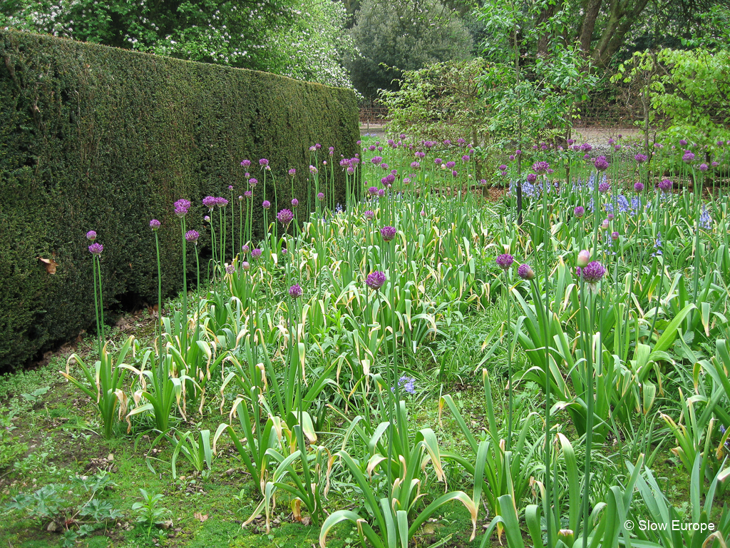 Kiftsgate Court Garden