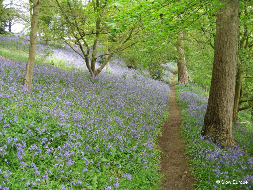 Kiftsgate Court Garden