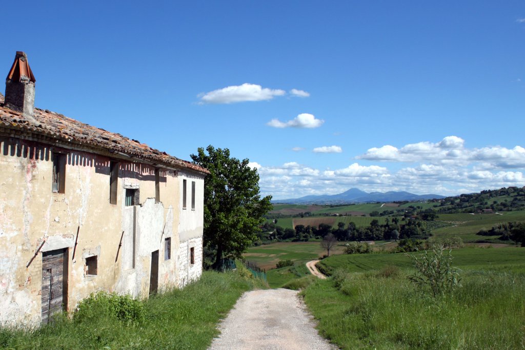 Landscape near Barchi