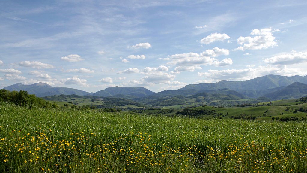 Landscape