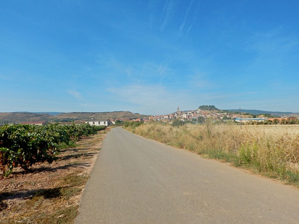Leaving Logrono to Navarette
