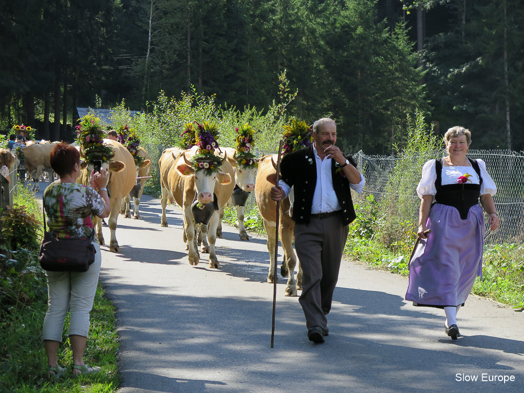 Lenk Cow Parade 2014