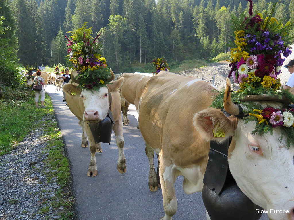 Lenk Cow Parade 2014