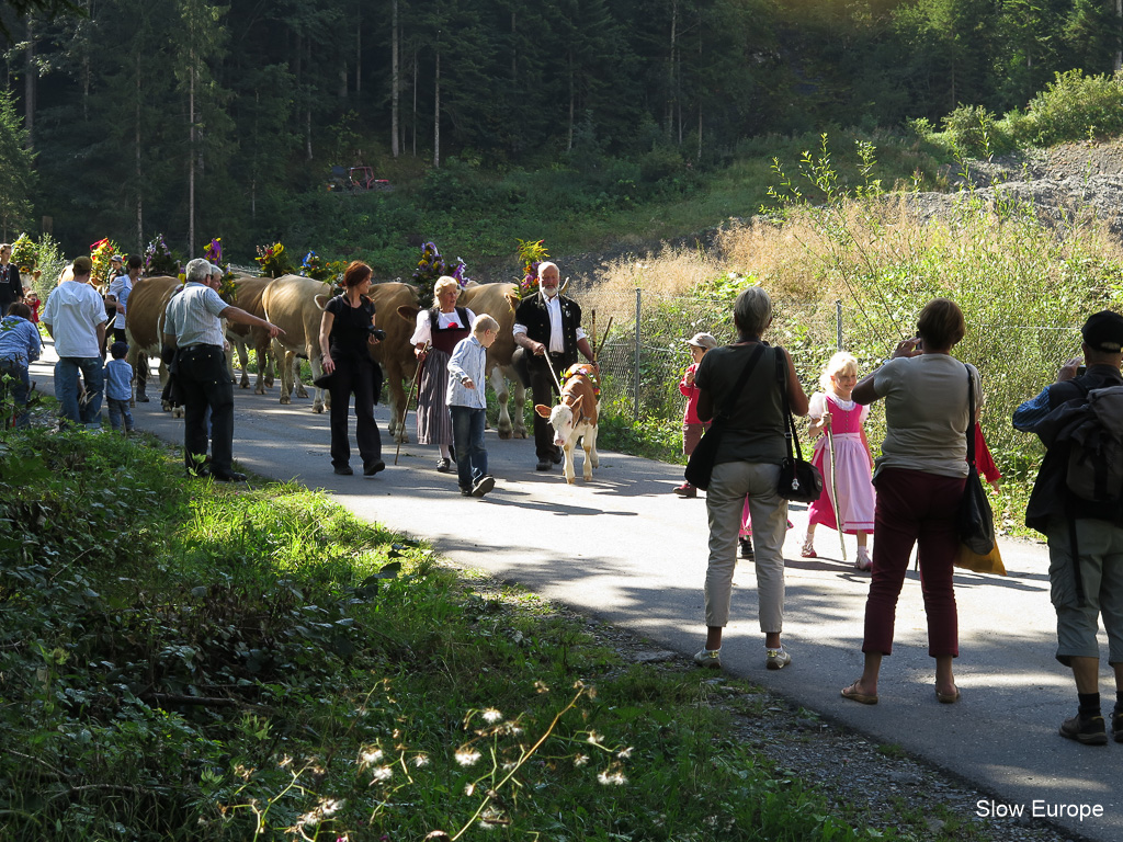 Lenk Cow Parade 2014