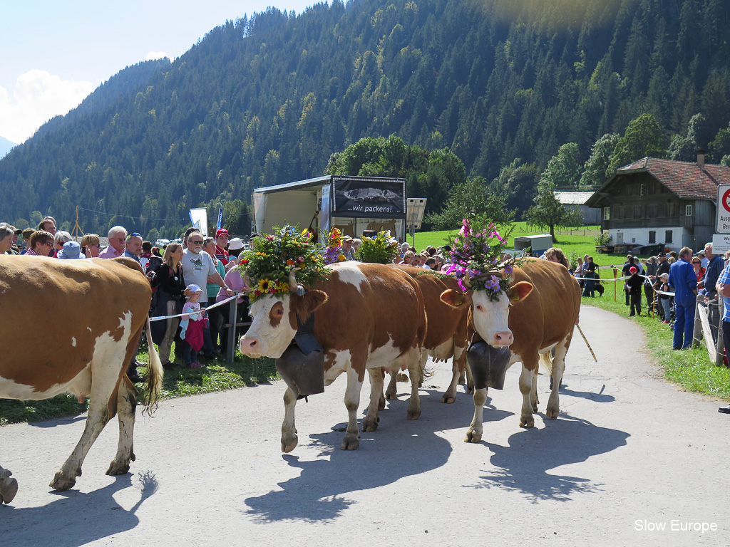 Lenk Cow Parade 2014