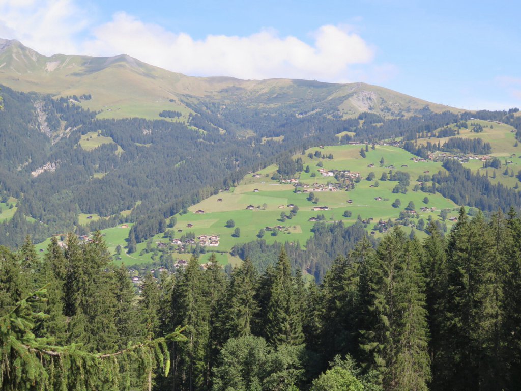 Lenk