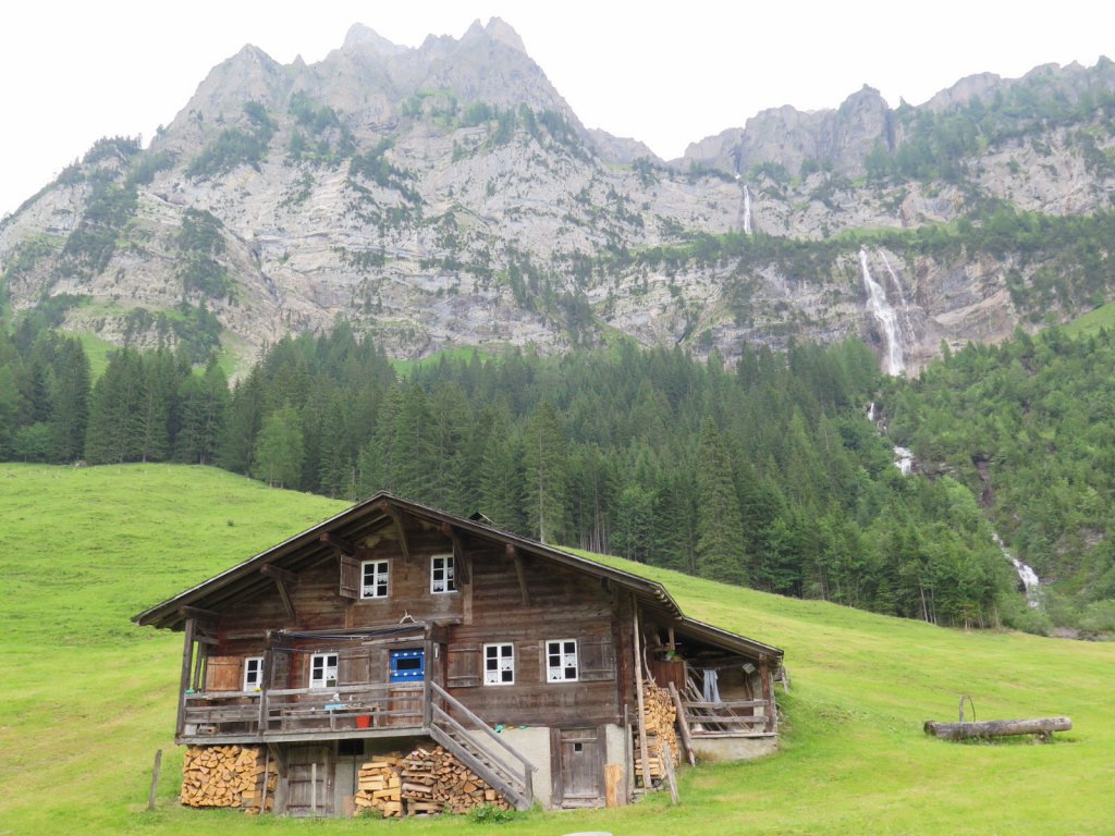 Lenk