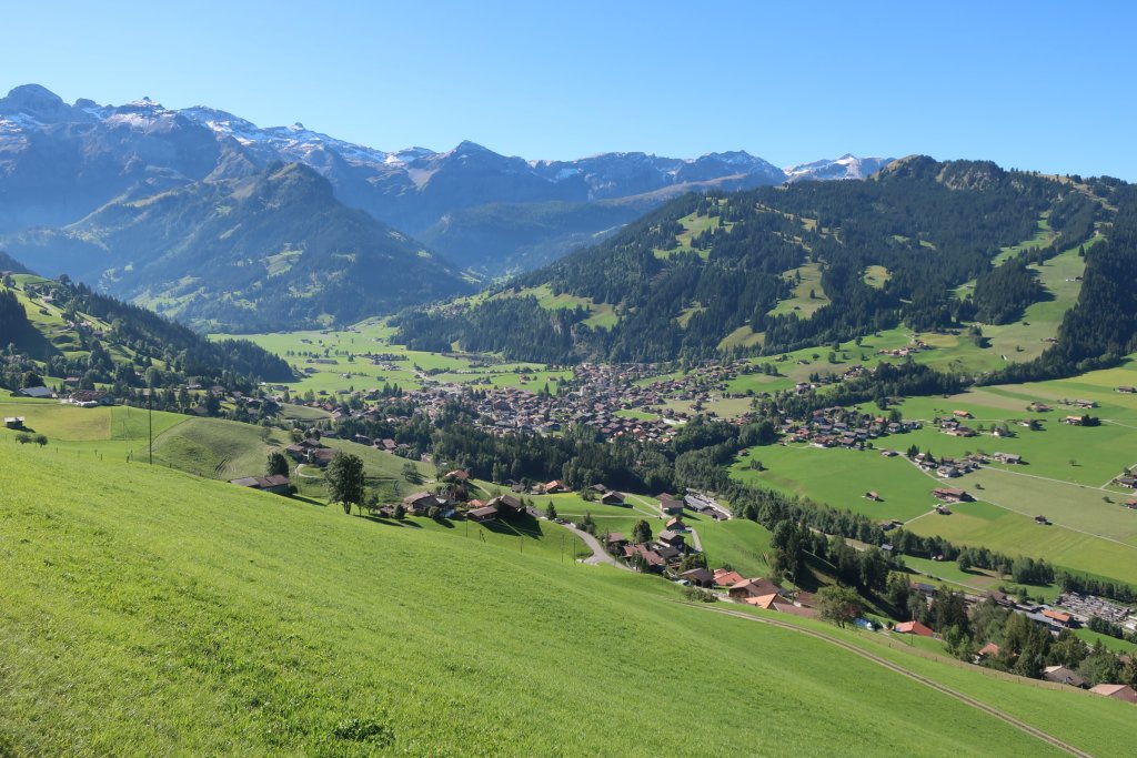 Lenk