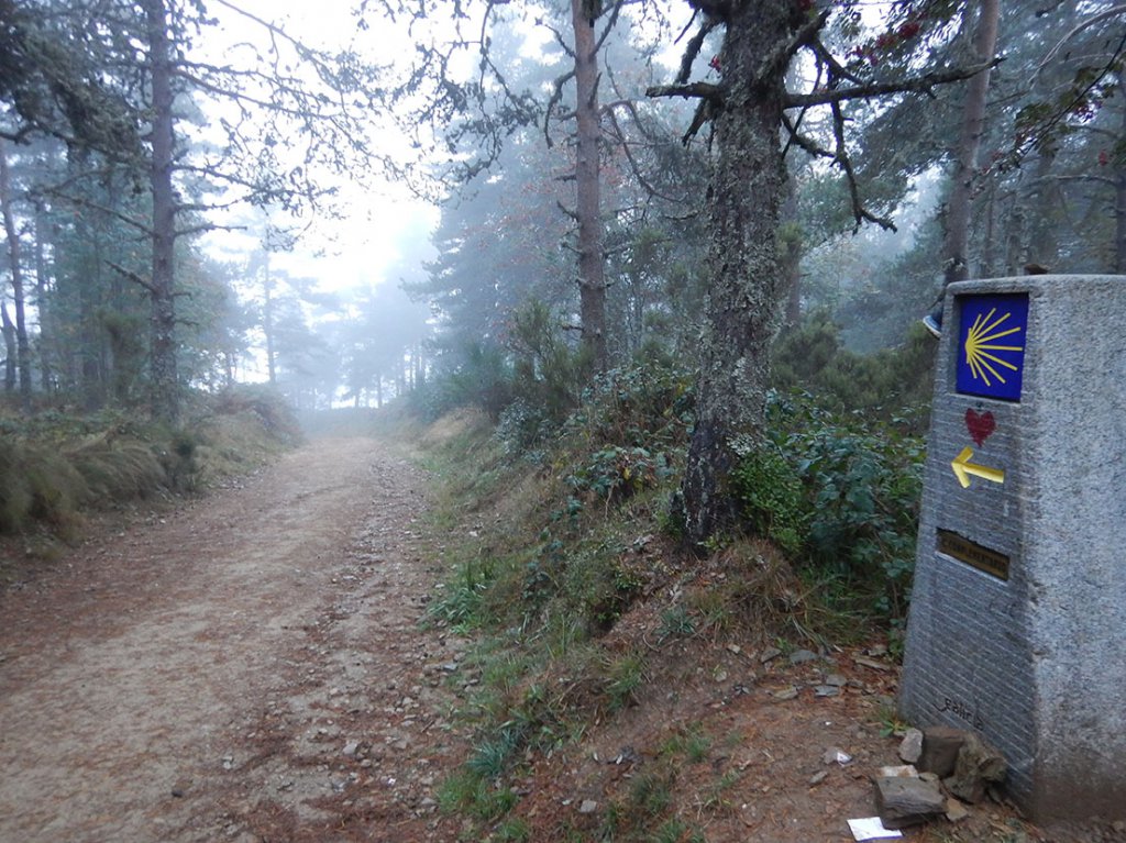 Misty Morning Leaving O Cebreiro