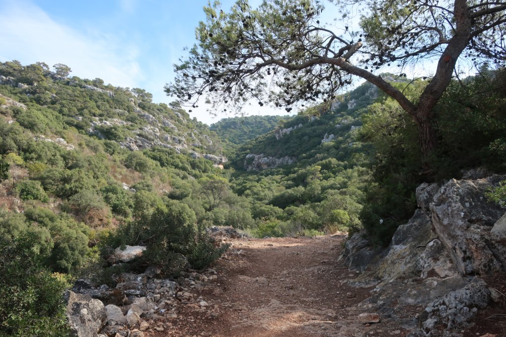 Nahal Kelach and Alon Valley Hike