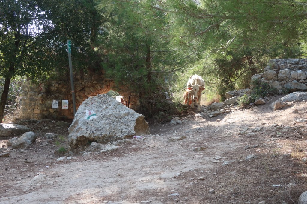 Nahal Kelach and Alon Valley Hike