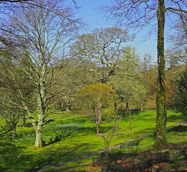 NHS Gardens Rosemoor - Bicentennary Arboretum