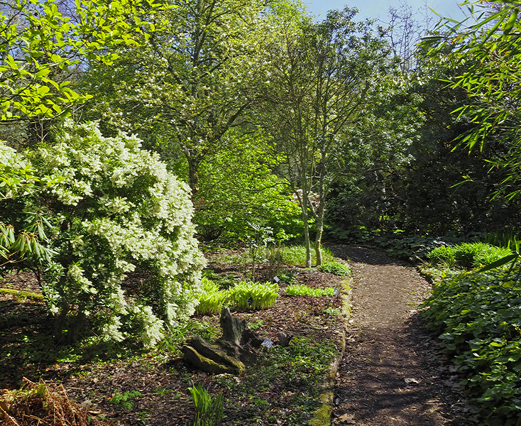 NHS Gardens Rosemoor - Lock's Trail