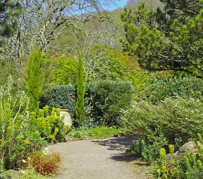 NHS Gardens Rosemoor - Mediterranean Garden