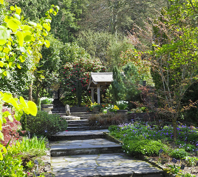 NHS Gardens Rosemoor - Stone Garden