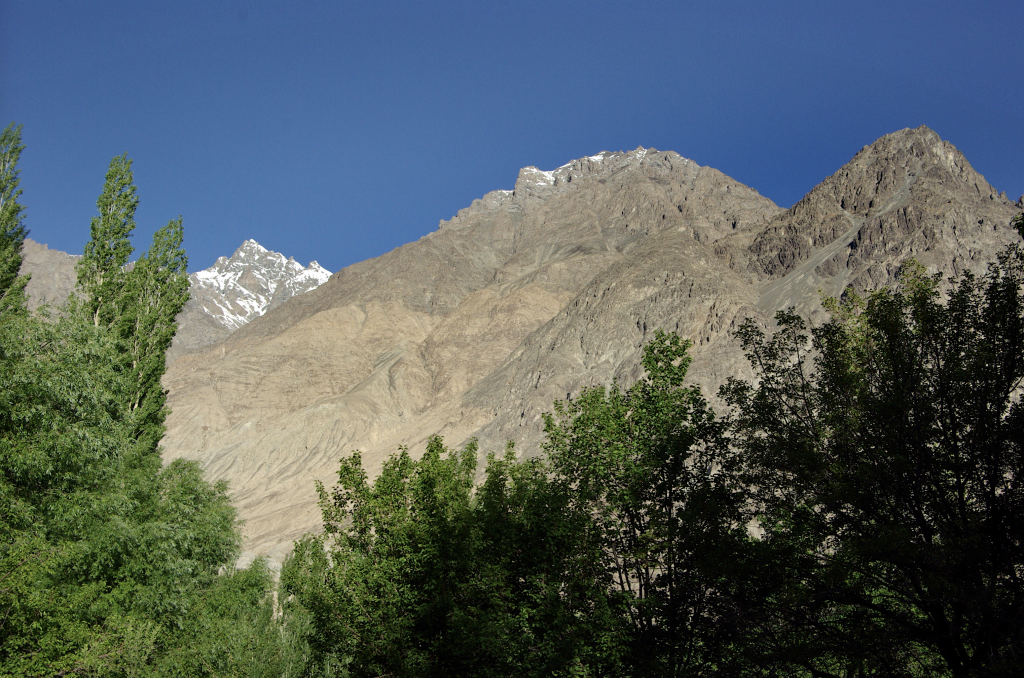 Nubra Organic Retreat, Hundar