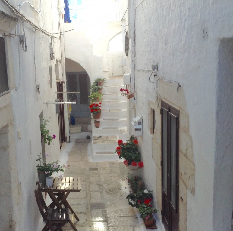 ostuni ape flowers.jpg