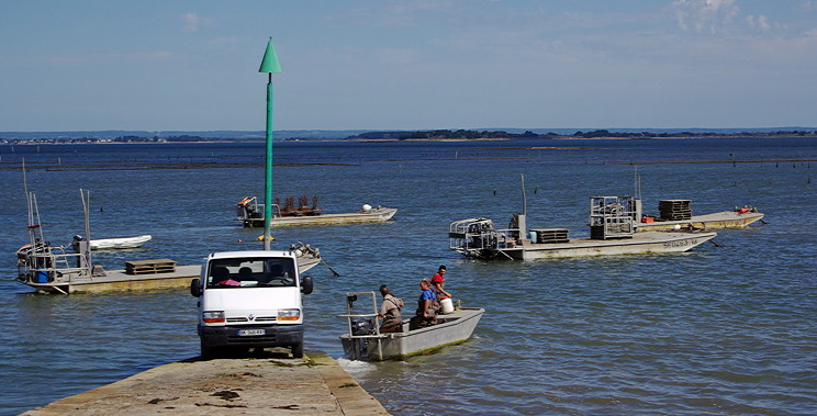 Oyster boats at Pointe de Ruaut