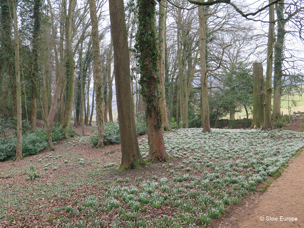 Painswick Rococo Garden