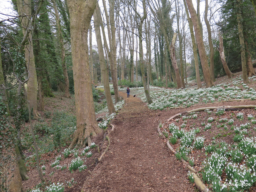 Painswick Rococo Garden