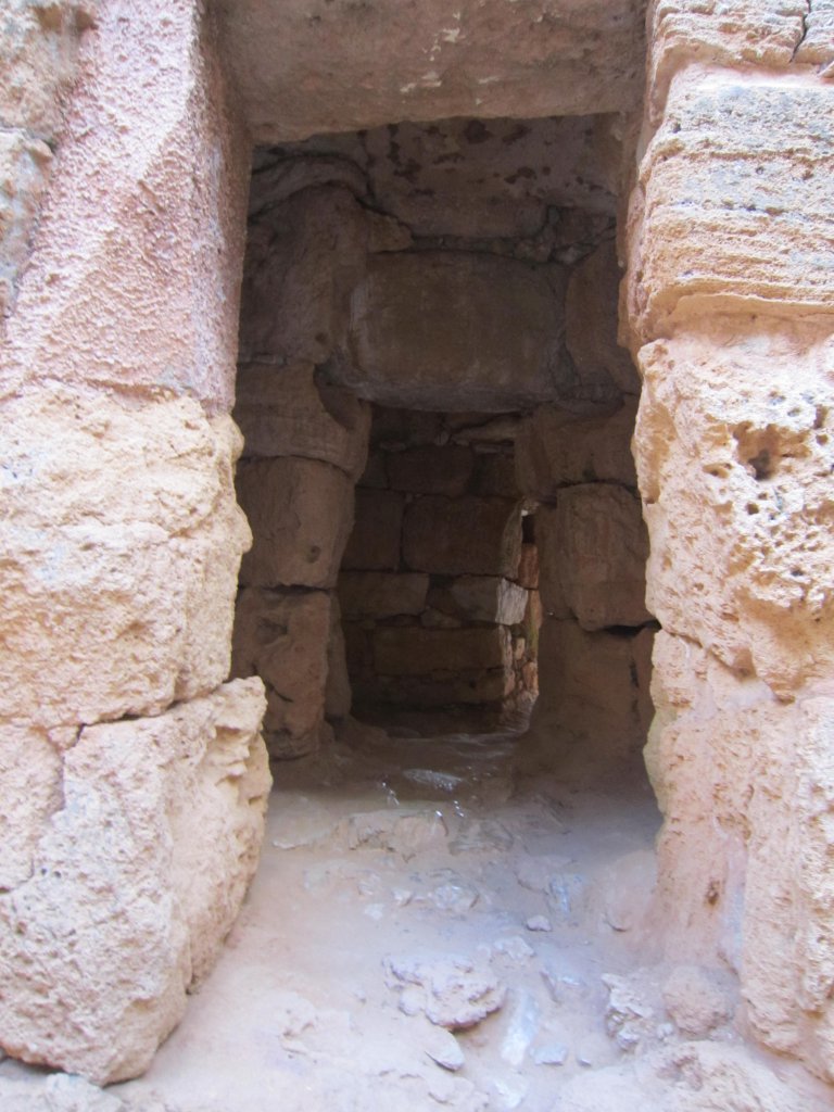 Palmavera