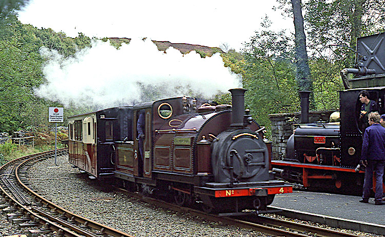 Palmerston and Lilla at Tan y Bwlch, 1990s
