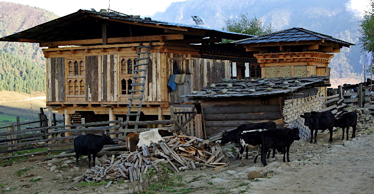 Phobjikha village, Bhutan